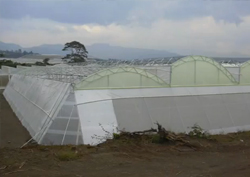Erection ofPoly House technology