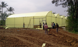 Poly House technology
