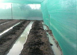 Shade House technology